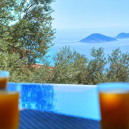 Gule Kalkan